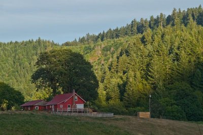 Little Red House