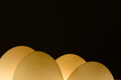 Eggshells I