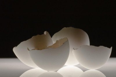 Eggshells II