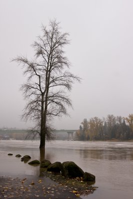 Untitled - Clackamette Park, Oregon City