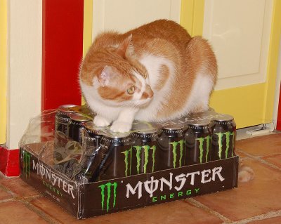 Mine puff ball! If you want a shreading, just try getting one of my MONSTER drinks..