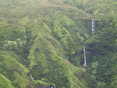 Falls on Mt. Waialeale