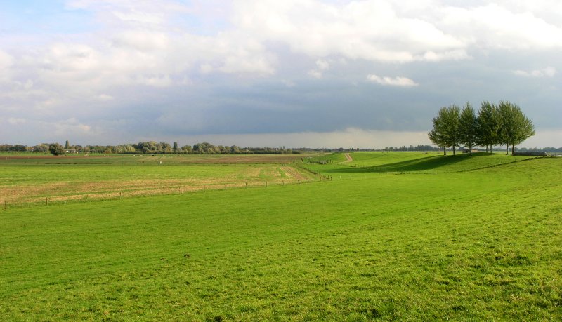 PA233079.jpg