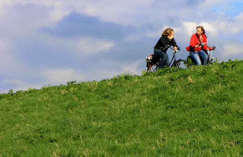 PA233101.jpg