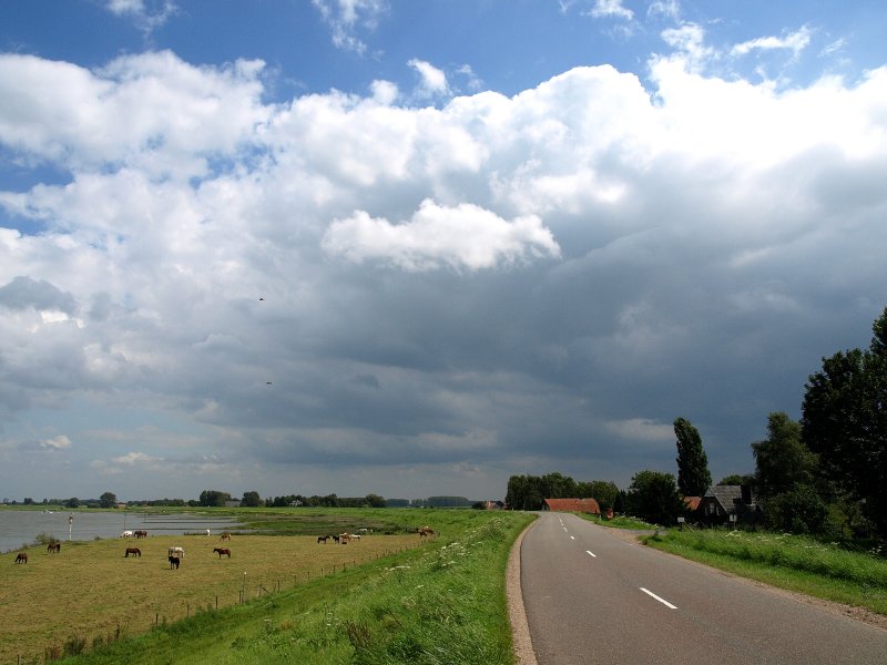 ik houd van holland.JPG