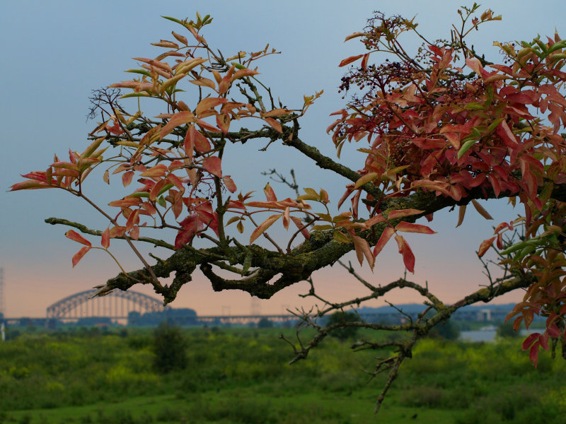P8020127.JPG