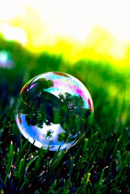 Bubble on the Grass