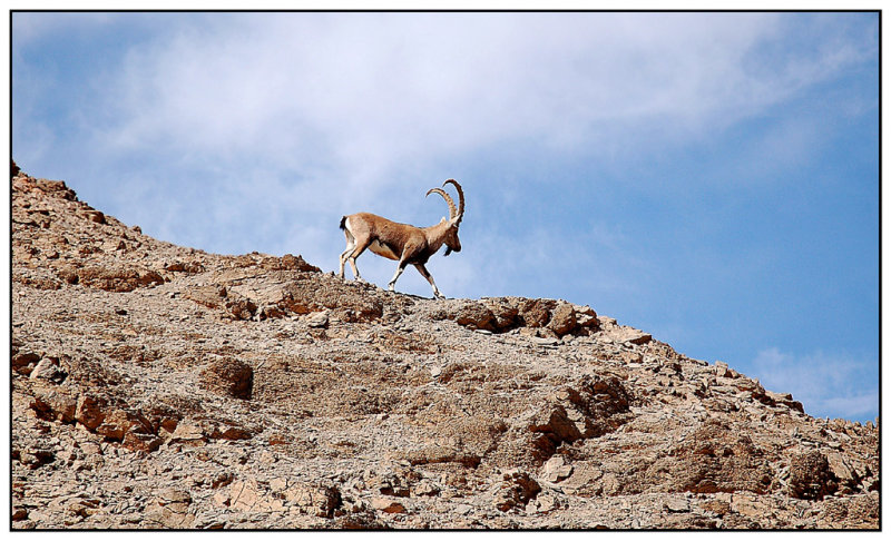 Eilat mountains