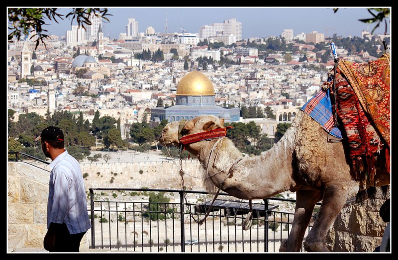  On the Mount of Olives
