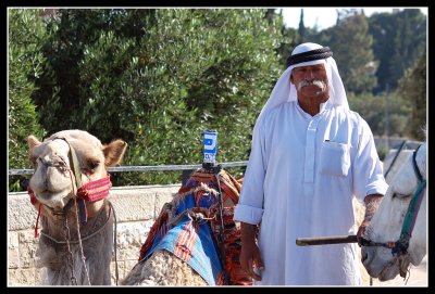  On the Mount of Olives