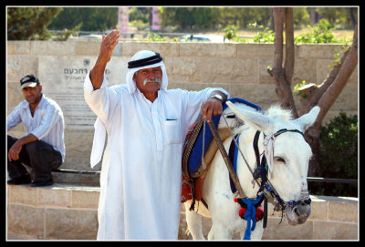  On the Mount of Olives