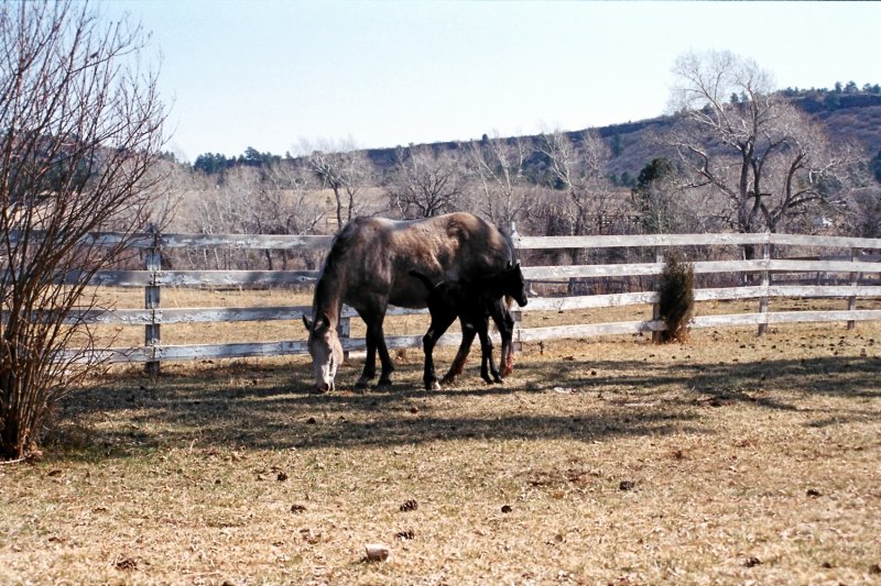 Hitch Rack Ranch