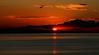 Volga Sunset