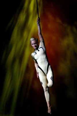 The Aerialist