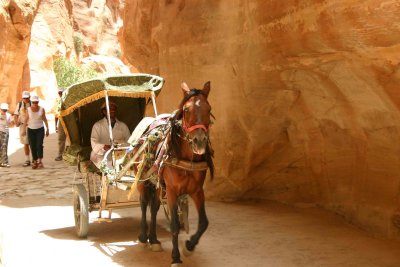 Petra Transportation