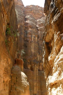 Canyon Leading To Petra