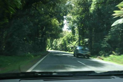 Drive from hamilton to Rotorua