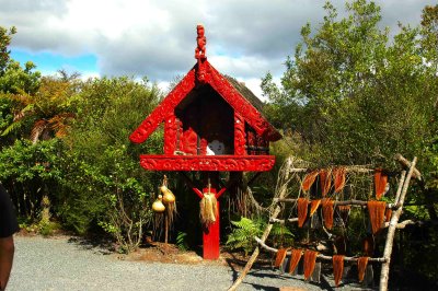 A place for Maori's to store their food, high up form the ground.