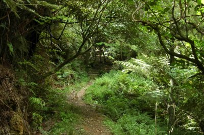 Scenic walk