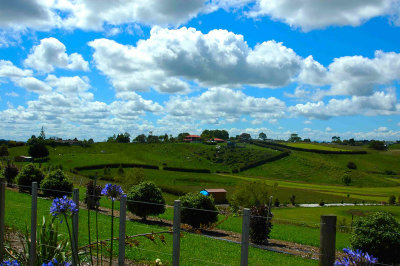Scenic view