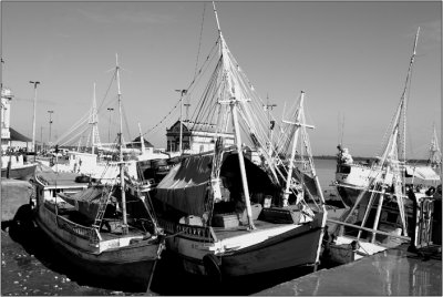 Belem #47