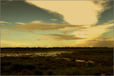 Marajo island #04