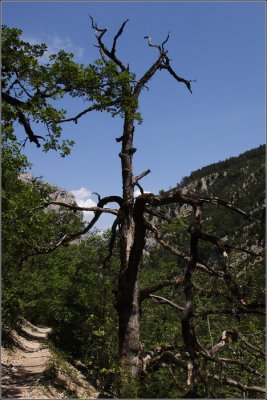 Gorges du Verdon #14