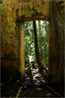 Doors & Windows #20