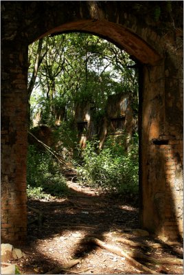 Doors & Windows #21