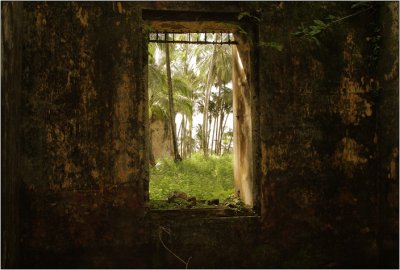 Doors & Windows #24