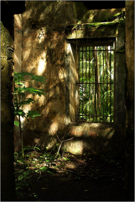 Doors & Windows #25