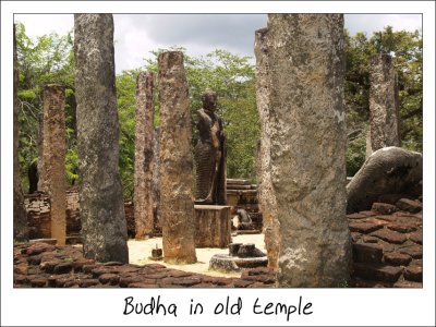 Budha in old temple