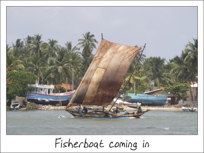 Fisherboat coming in