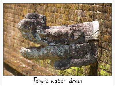 Temple water drain