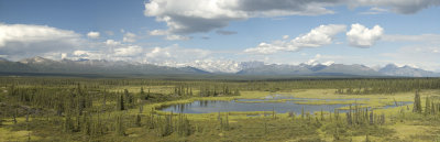 Denali Hwy View.jpg