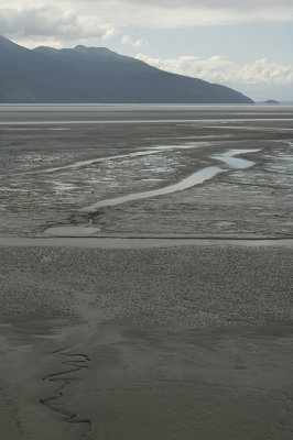 Lotid Turnagain.jpg