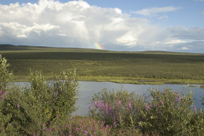 Tangled Lakes Rainbow.jpg