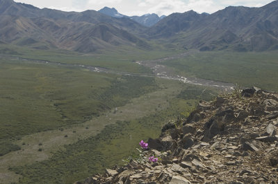 View from Polychrome Pass.jpg