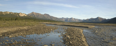 Teklanika River.jpg