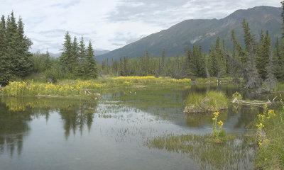 WStE Pond.jpg