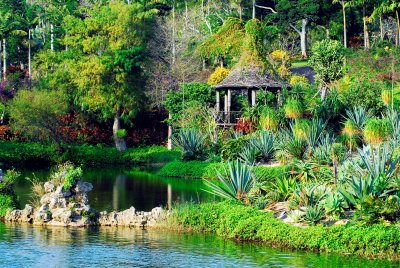 Southeast Botanical Garden, Okinawa