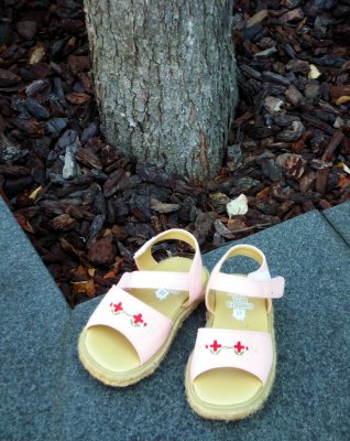Little Cinderella's Shoes