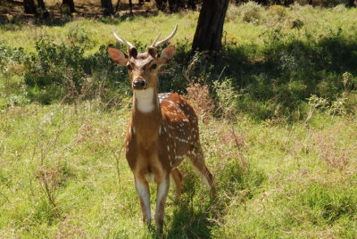 DSC_0041.JPG