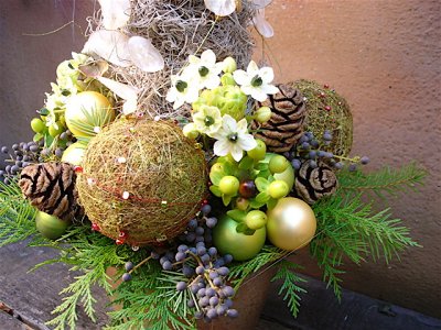 chiristmas topiary (close up)