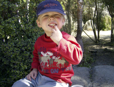 Snack Time at the Zoo with Gigi