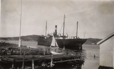 Steinvik 1901.jpg