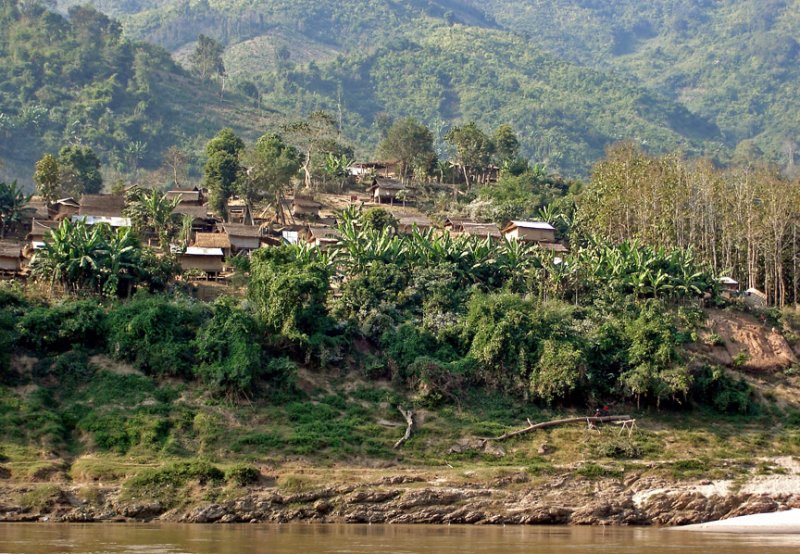Village with teak forest