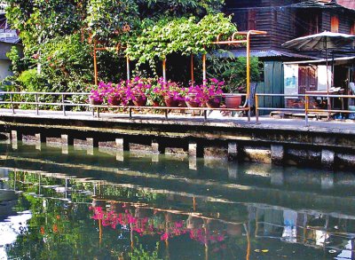 Klong with flowers
