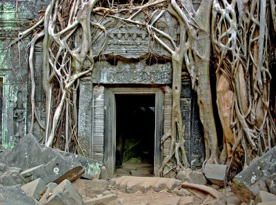 Overgrown doorway