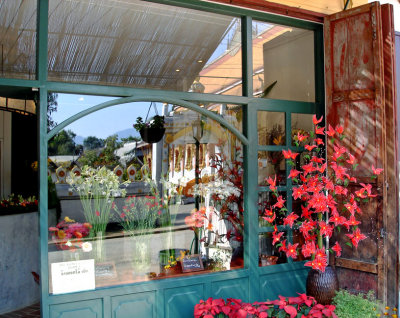 Flower shop with reflection of Wat Nong